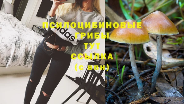 MESCALINE Слюдянка