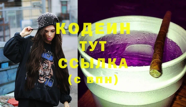 герыч Снежинск