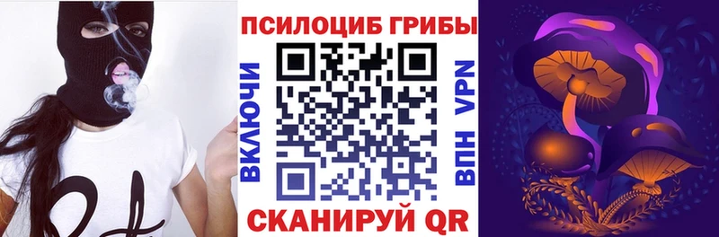 Галлюциногенные грибы Psilocybine cubensis  Купить  Костерёво 